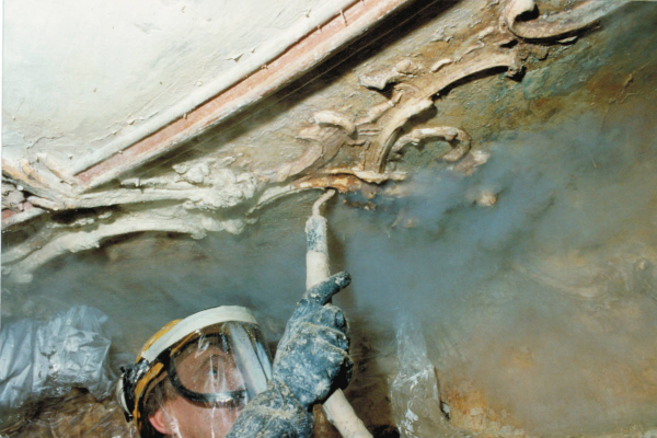 Freilegung Ölanstrich 